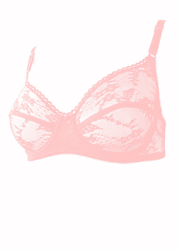 French Lace Full Bra in Ballet Pastels for Autumn/Winter