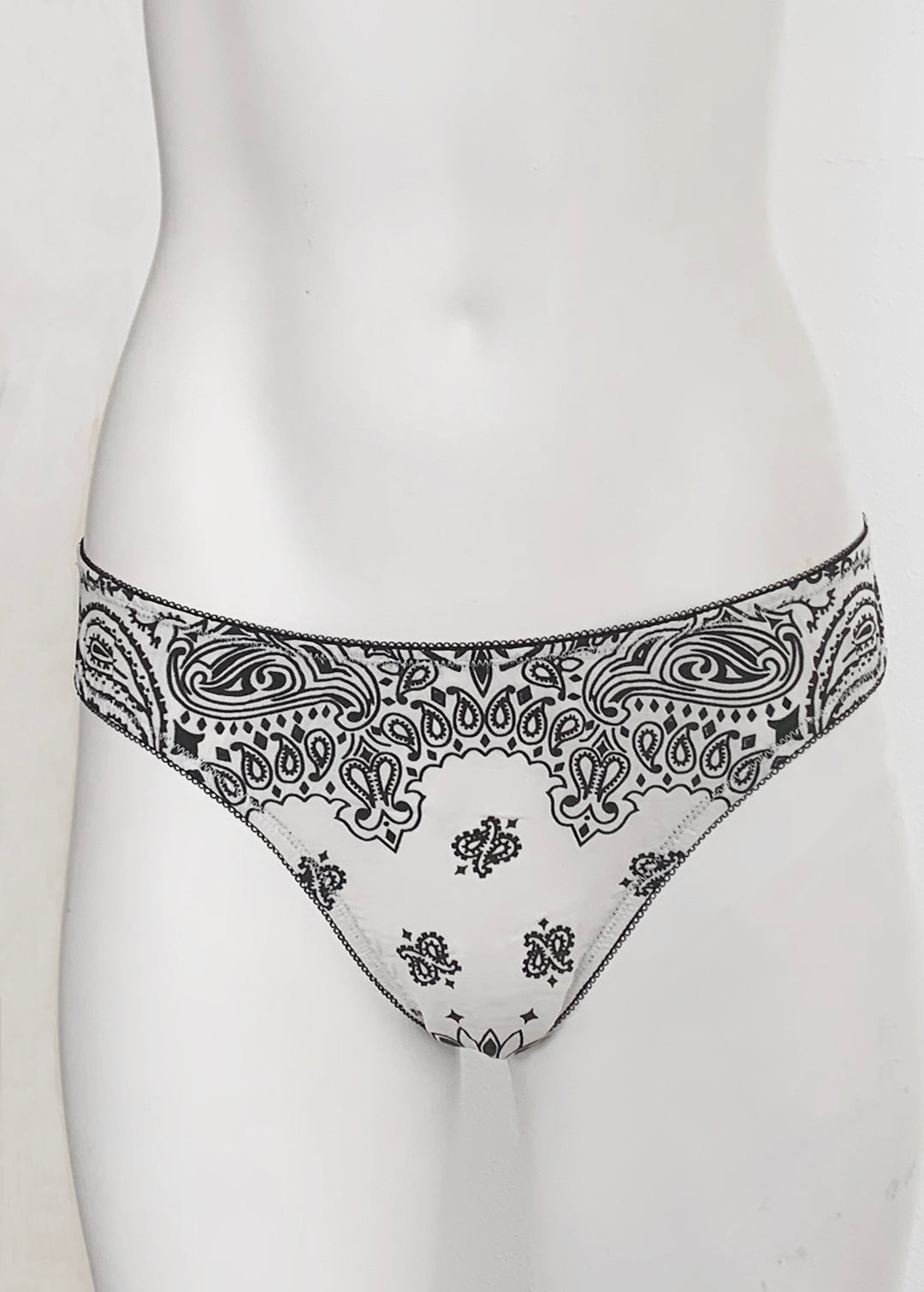 Bandanna Print Briefs