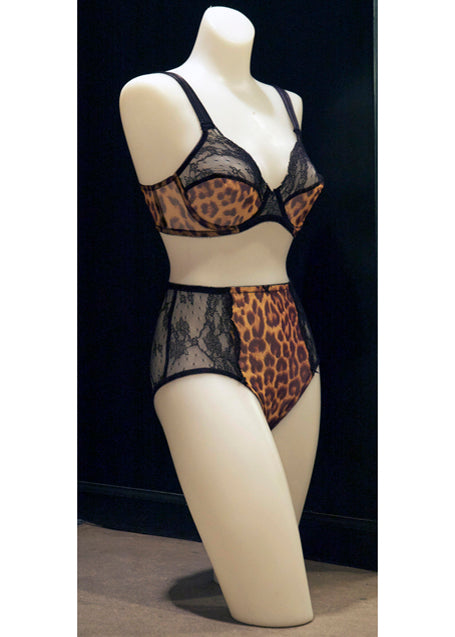 Hollywood Briefs in Leopard
